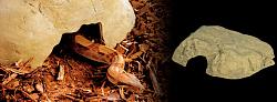 Jeskyně Reptile Cave