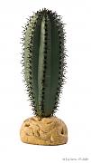ExoTerra Saguaro Cactus 16,5cm