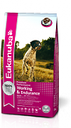 Eukanuba Adult All Performance 
