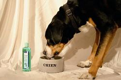 Vet Aquadent 250ml