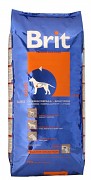 BRIT Adult 