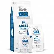BRIT Care Activity All Breed Lamb & Rice 