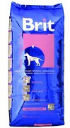 BRIT Junior Large Breed 