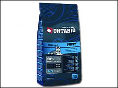 ONTARIO Puppy 