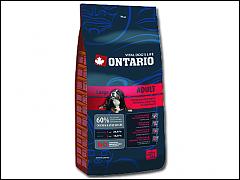 ONTARIO Adult Large Breed