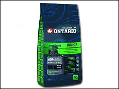 ONTARIO Junior Large Breed 
