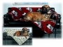Fleecová deka Doggy Comfort - černá s bílou tlapkou