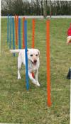AGILITY Slalom, tyče 12ks