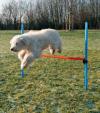 AGILITY skoková překážka, 3 tyče 129x115 cm